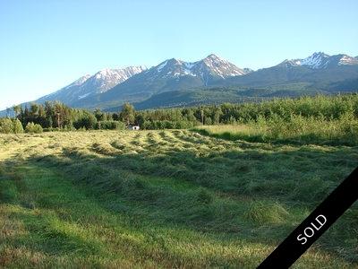 Smithers BC Ranch for sale by Charlie McClary RE/MAX Bulkley Valley 