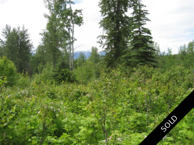 Hazelton Bare Land for sale: