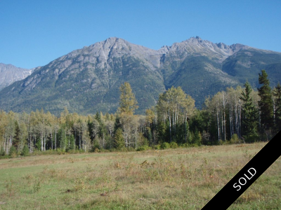 Hazelton Bare Land  for sale: